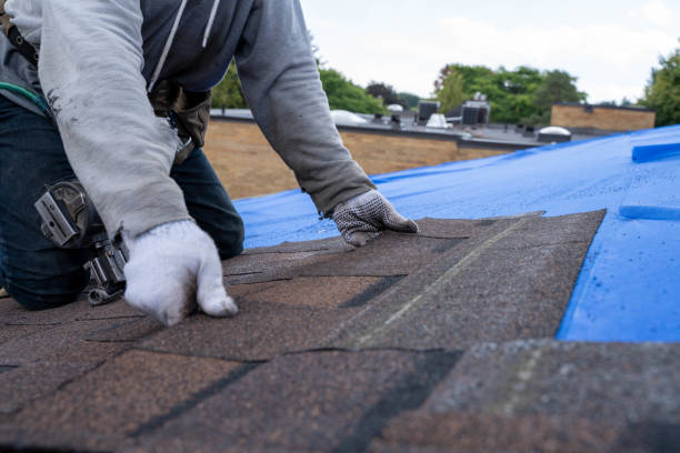 Best Residential Roofing Contractor  in Edinboro, PA